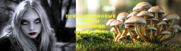 наркотики Абаза