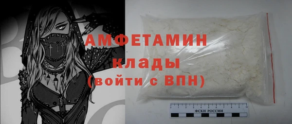 шишки Приозерск