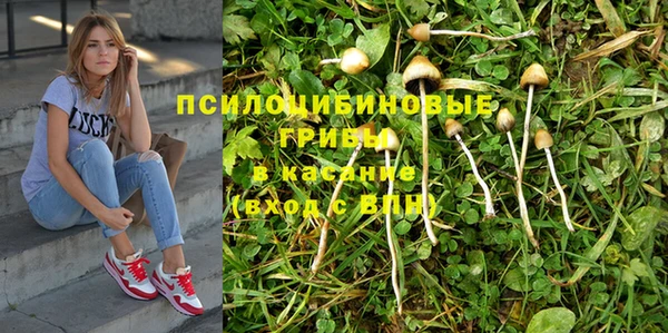гашик Протвино