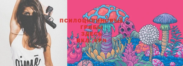 экстази Алексин