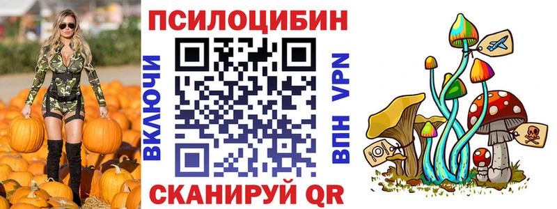 Псилоцибиновые грибы мицелий  Мегион 